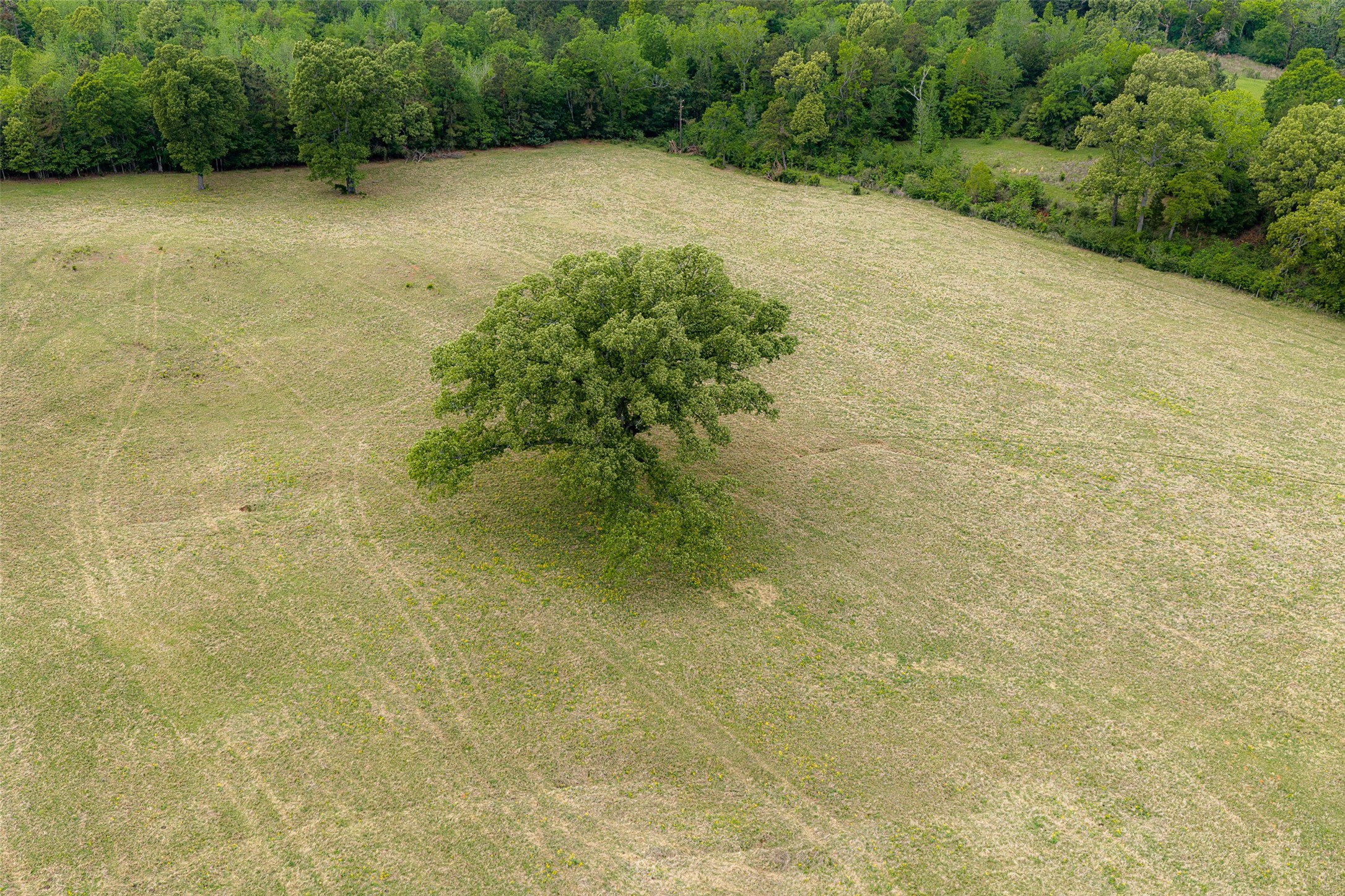00 Tract 2 Cr 1615 Jacksonville TX 75766