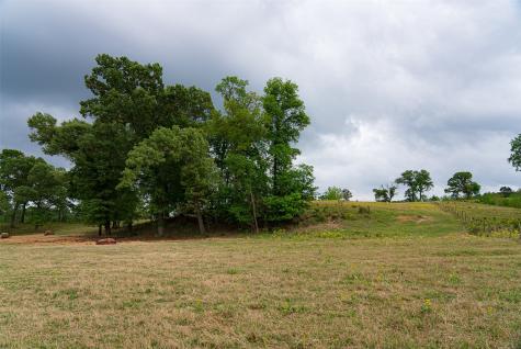 00 Tract 2 Cr 1615 Jacksonville TX 75766