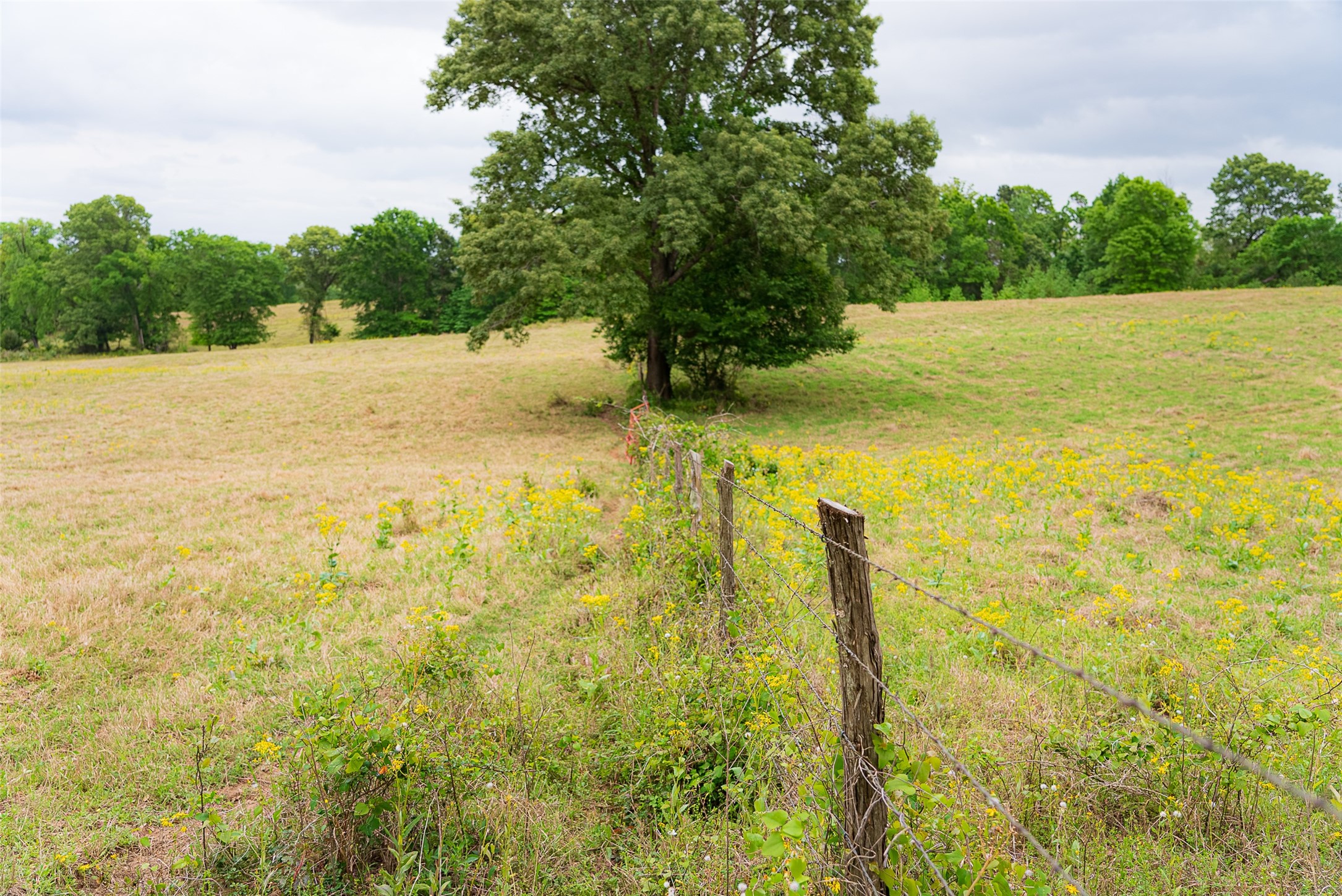 00 Tract 2 Cr 1615 Jacksonville TX 75766