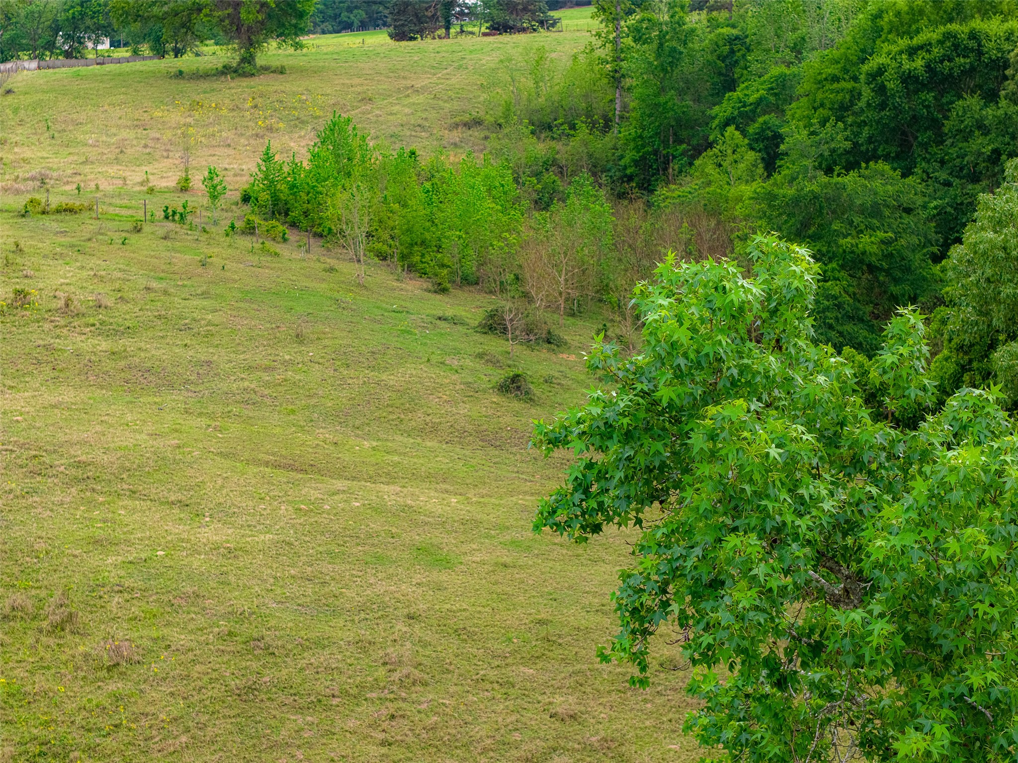 00 Tract 2 Cr 1615 Jacksonville TX 75766