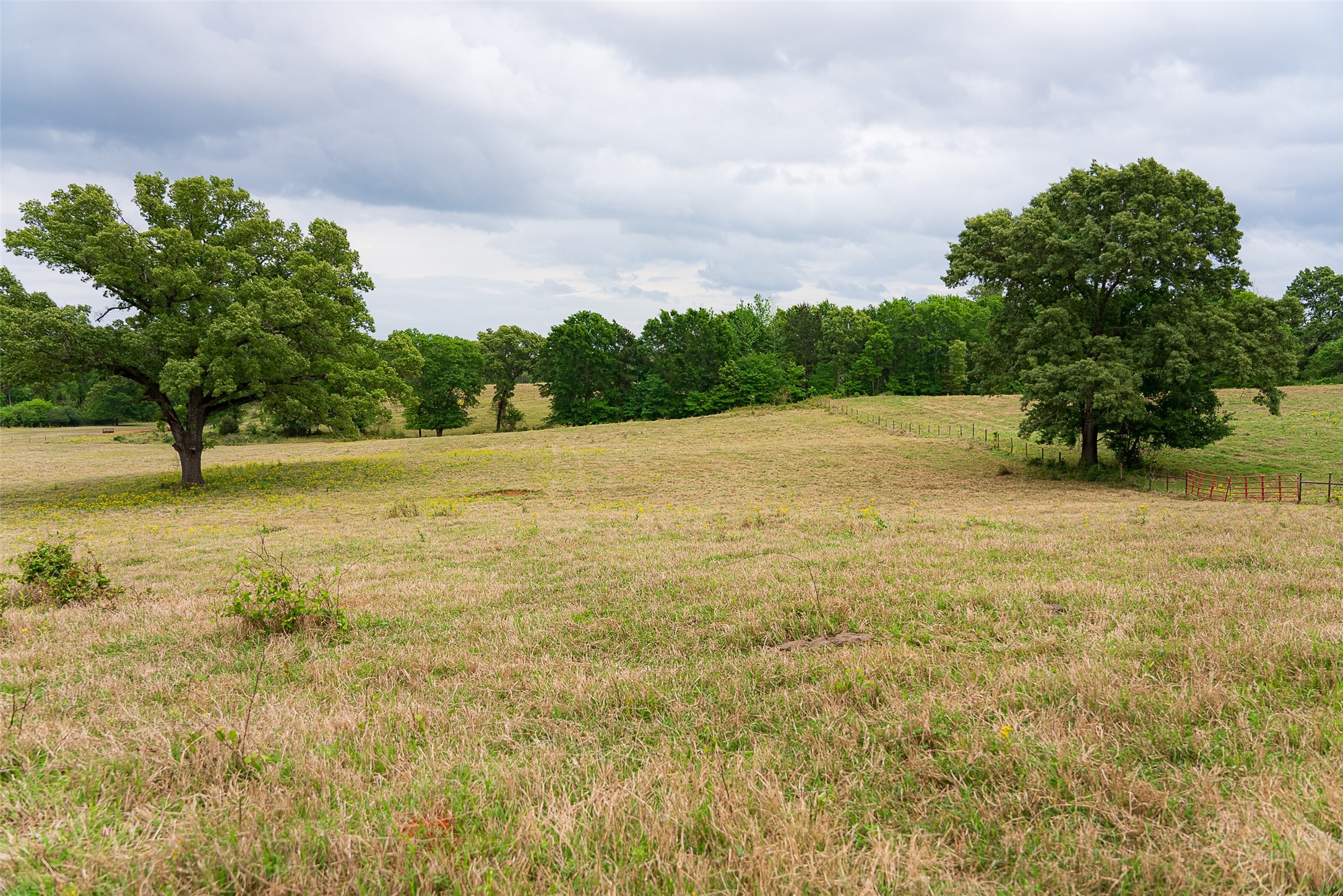 00 Tract 2 Cr 1615 Jacksonville TX 75766
