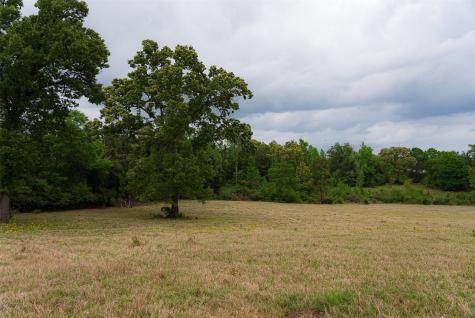 00 Tract 2 Cr 1615 Jacksonville TX 75766