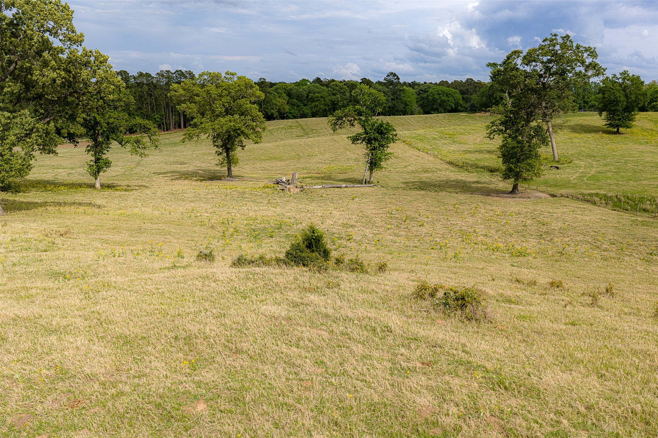 00 Tract 2 Cr 1615 Jacksonville TX 75766