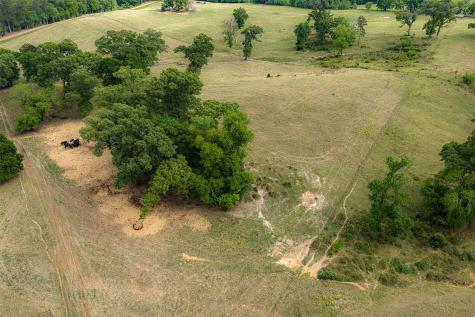 00 Tract 2 Cr 1615 Jacksonville TX 75766
