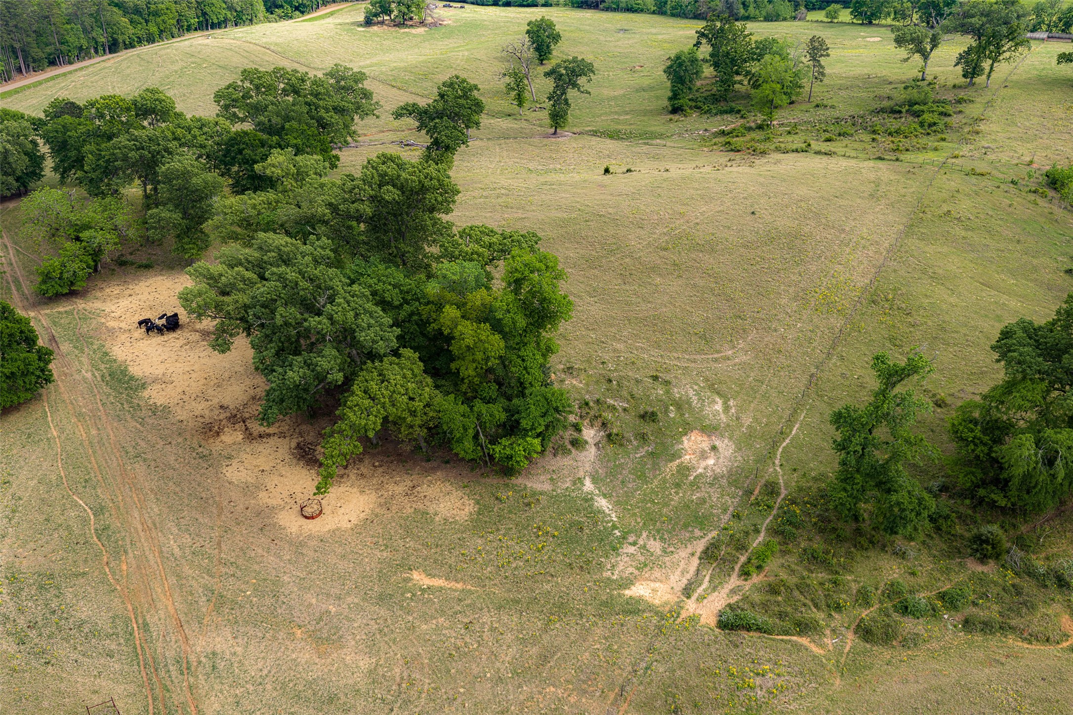 00 Tract 2 Cr 1615 Jacksonville TX 75766