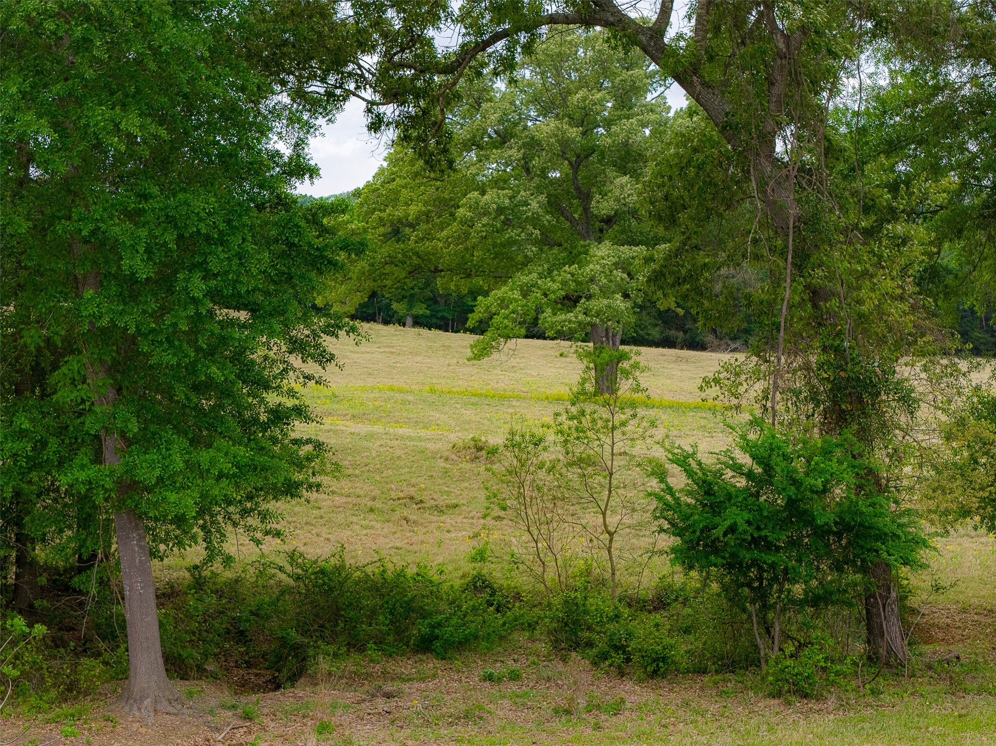 00 Tract 2 Cr 1615 Jacksonville TX 75766