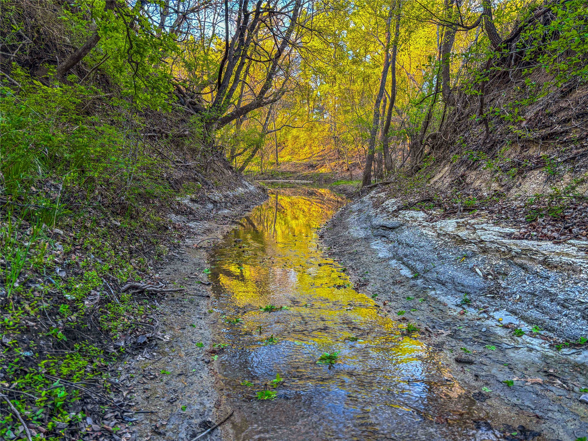 Unk Ih 35 Troy TX 76579