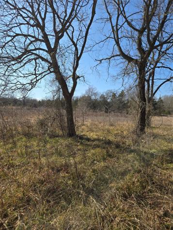 Tbd County Road 4612 Sulphur Springs TX 75482