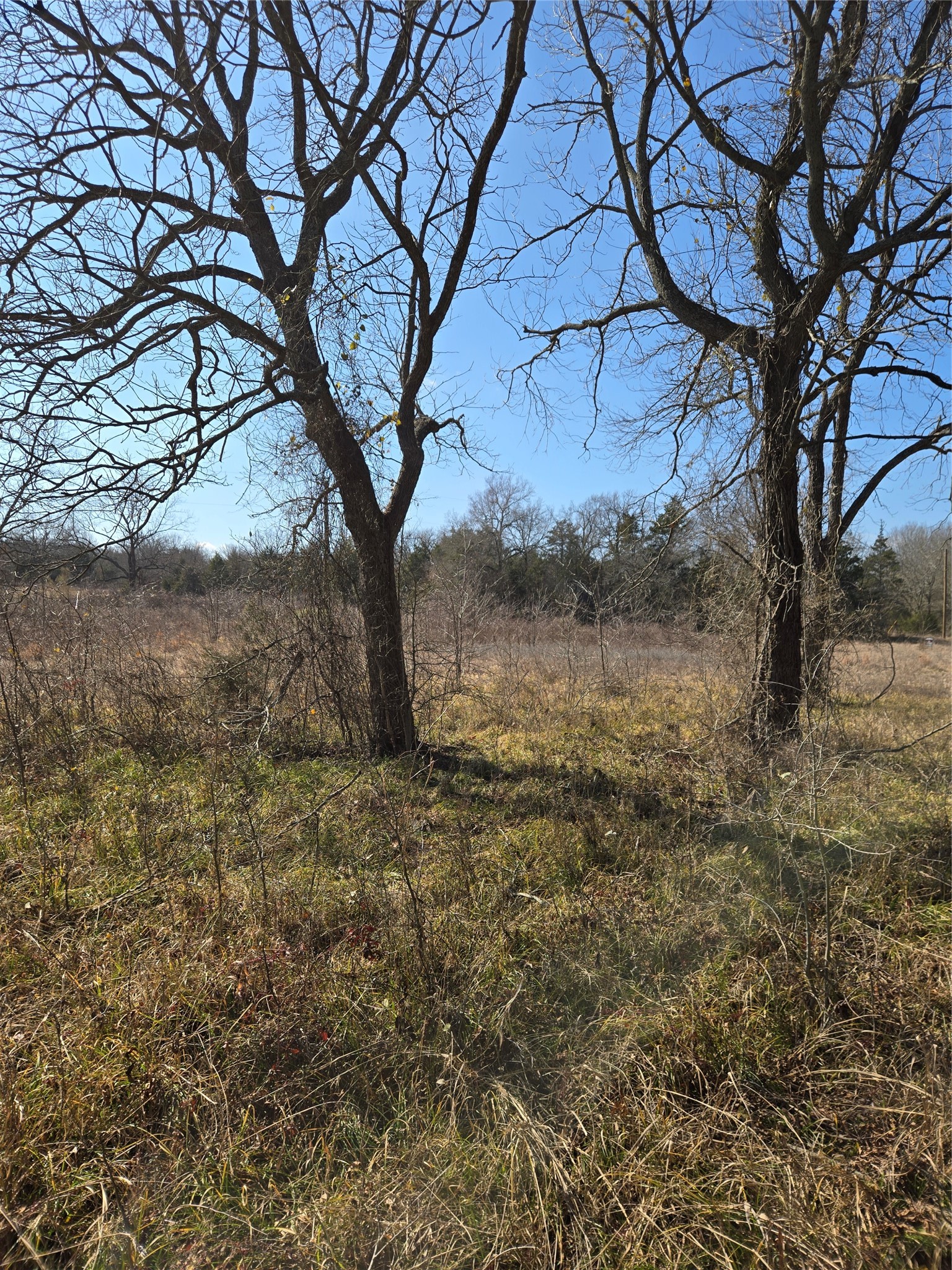 Tbd County Road 4612 Sulphur Springs TX 75482
