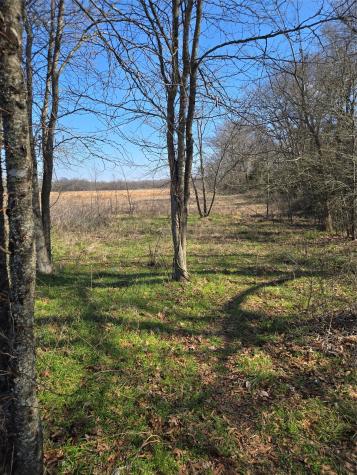 Tbd County Road 4612 Sulphur Springs TX 75482