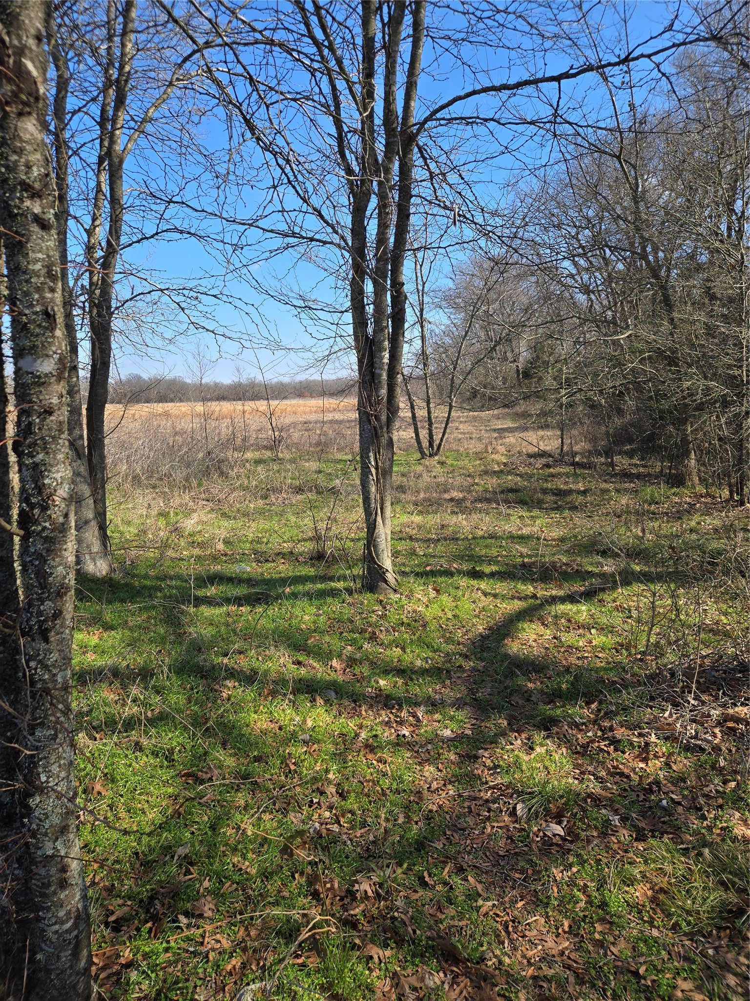 Tbd County Road 4612 Sulphur Springs TX 75482
