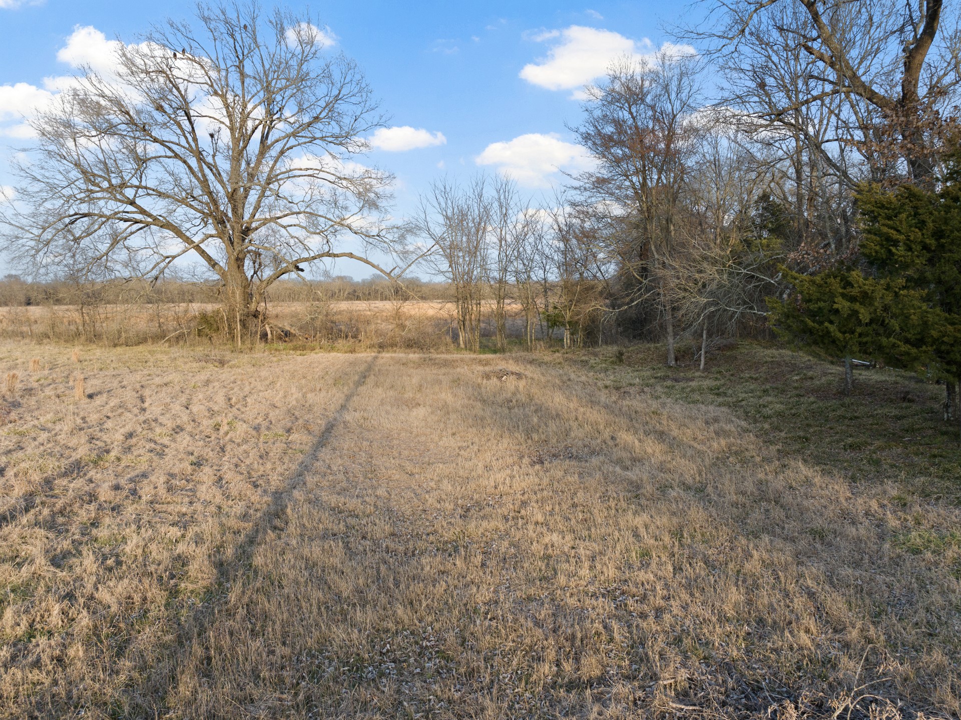 Tbd County Road 4612 Sulphur Springs TX 75482