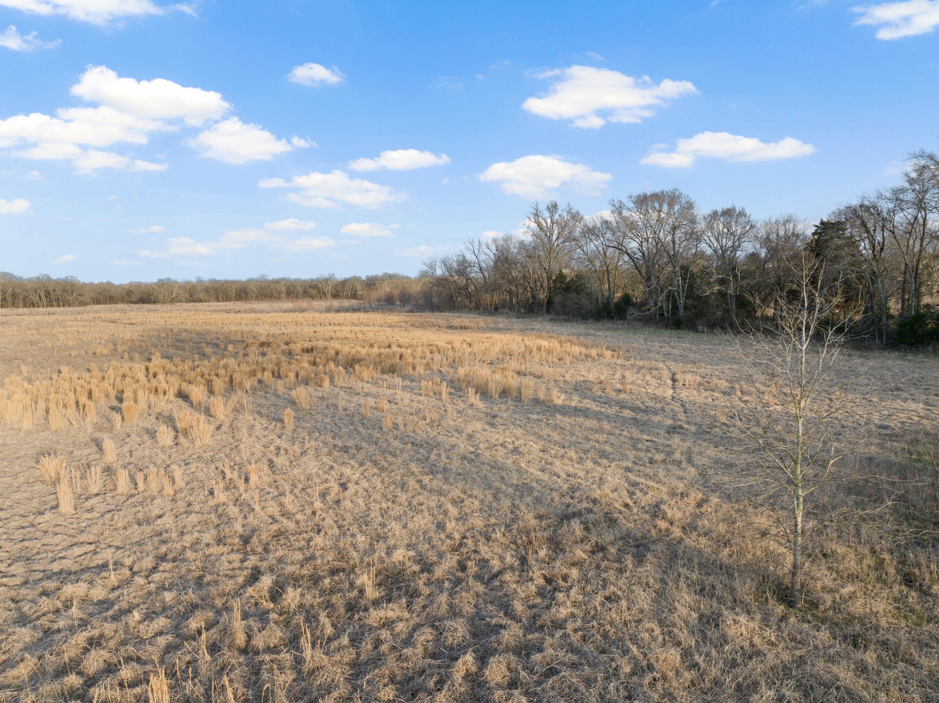 Tbd County Road 4612 Sulphur Springs TX 75482