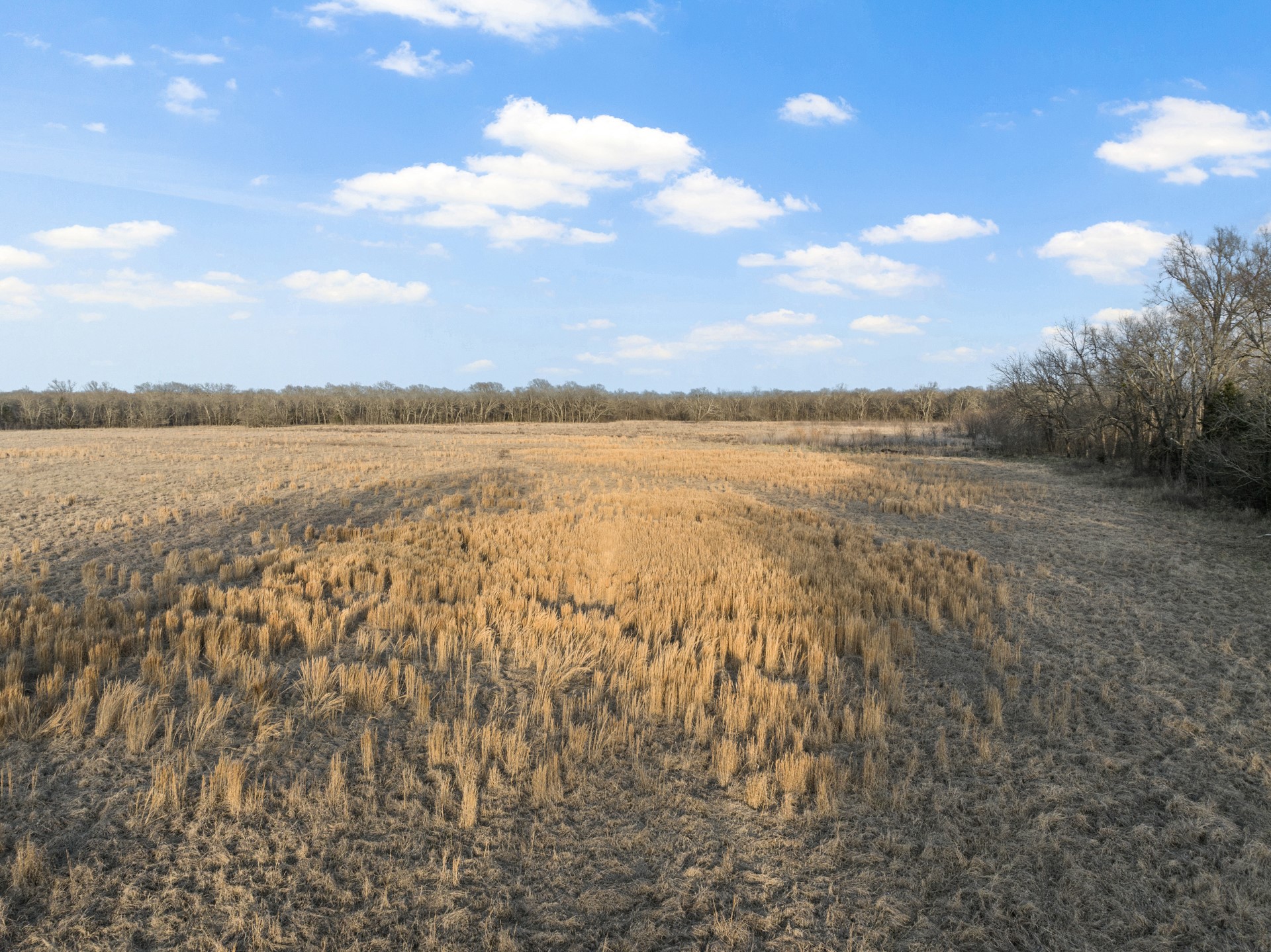 Tbd County Road 4612 Sulphur Springs TX 75482