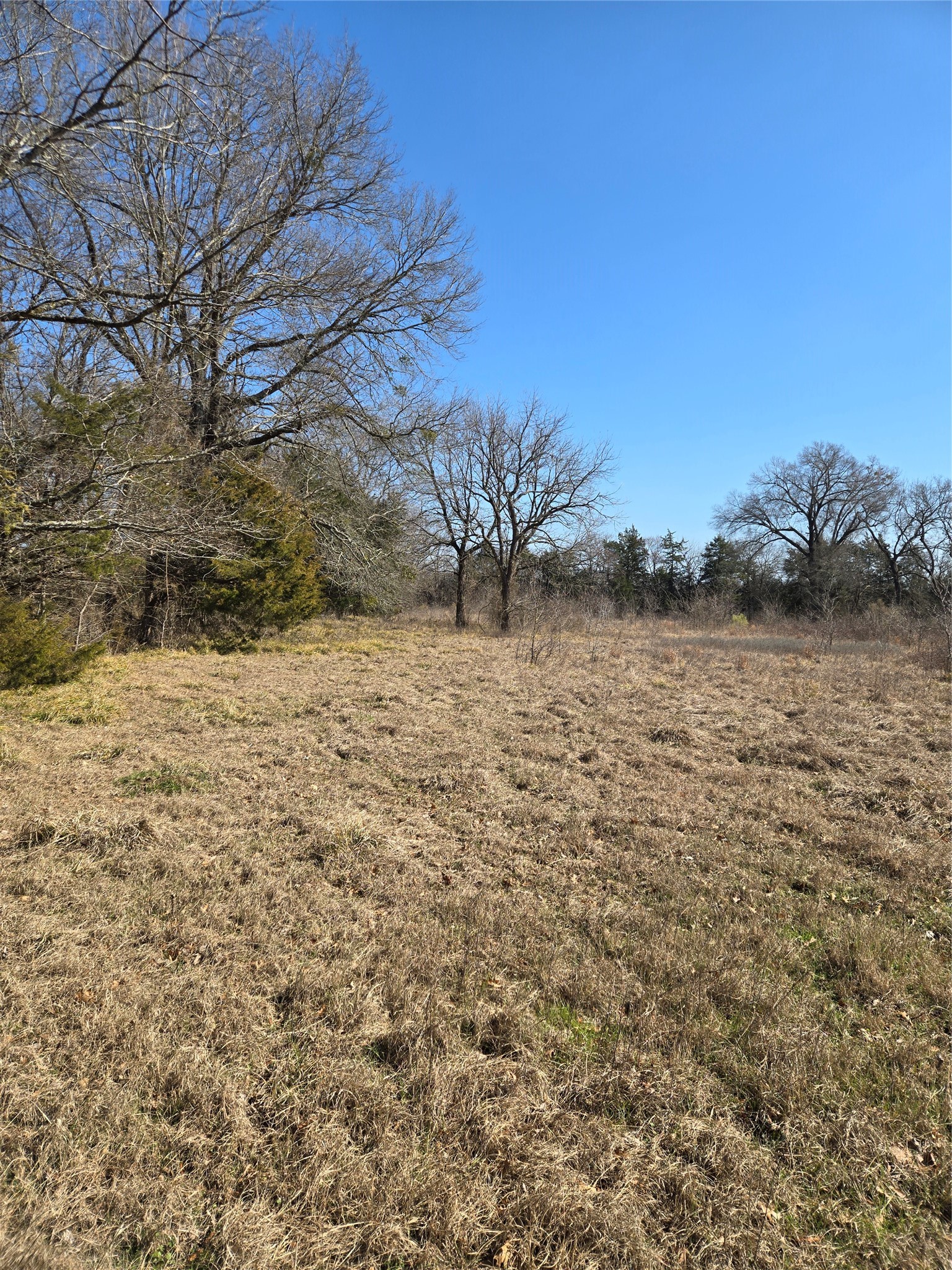 Tbd County Road 4612 Sulphur Springs TX 75482