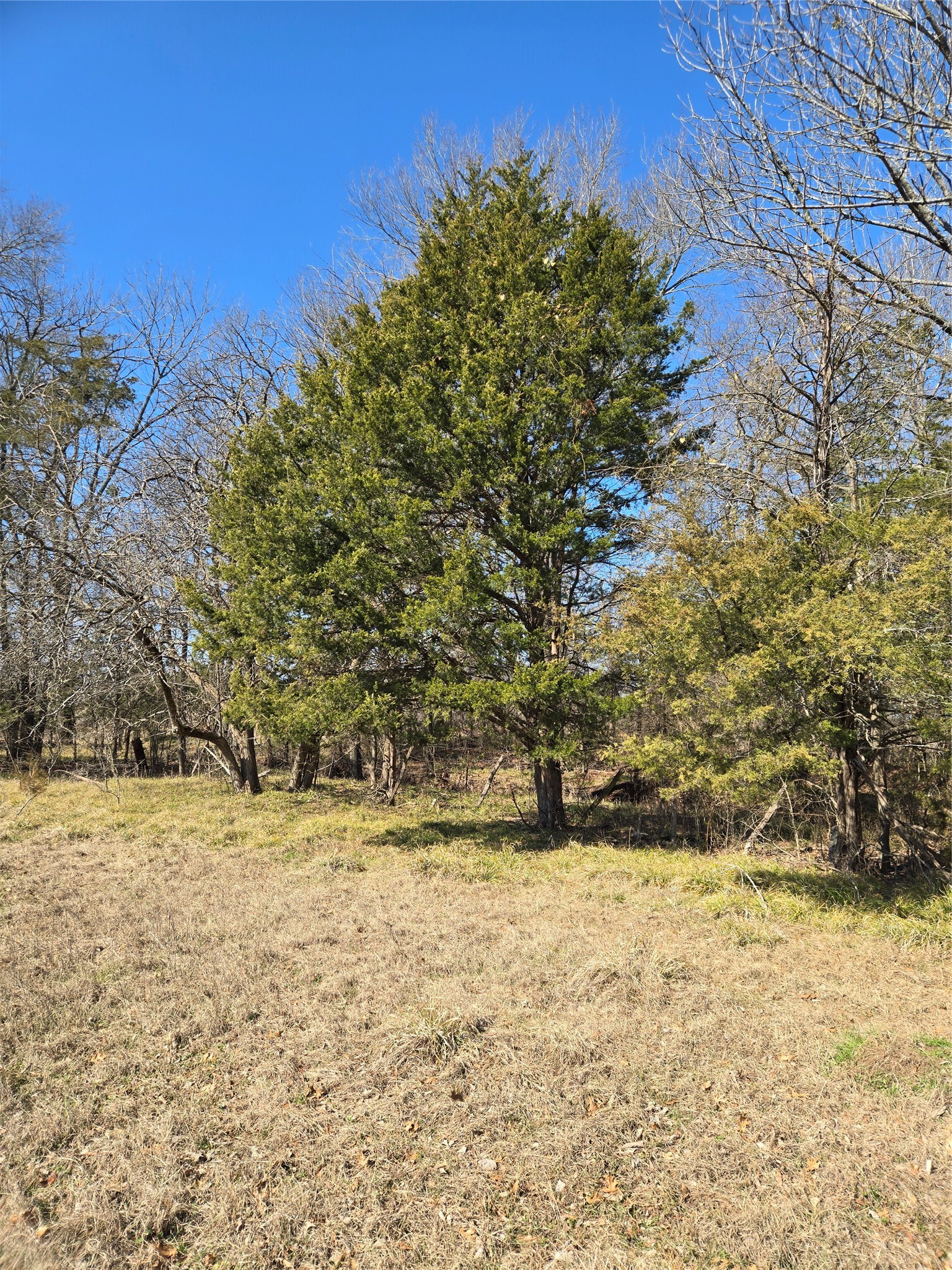 Tbd County Road 4612 Sulphur Springs TX 75482