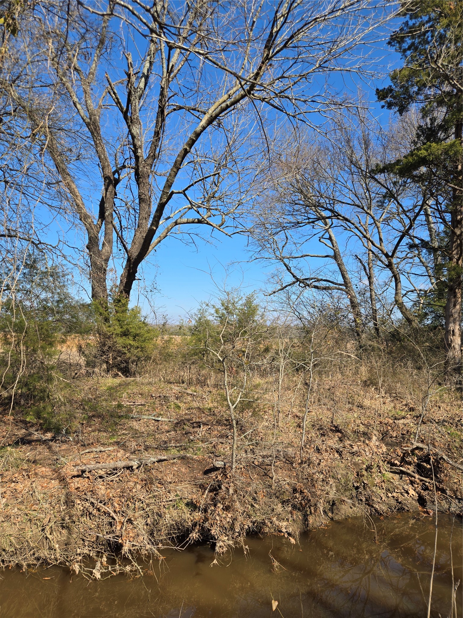 Tbd County Road 4612 Sulphur Springs TX 75482