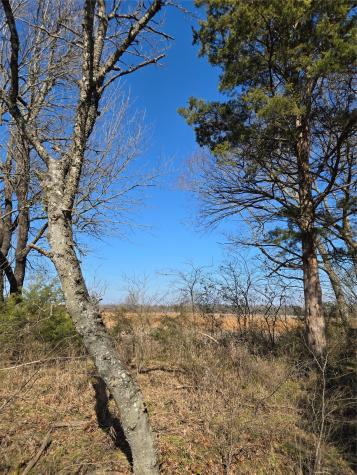 Tbd County Road 4612 Sulphur Springs TX 75482