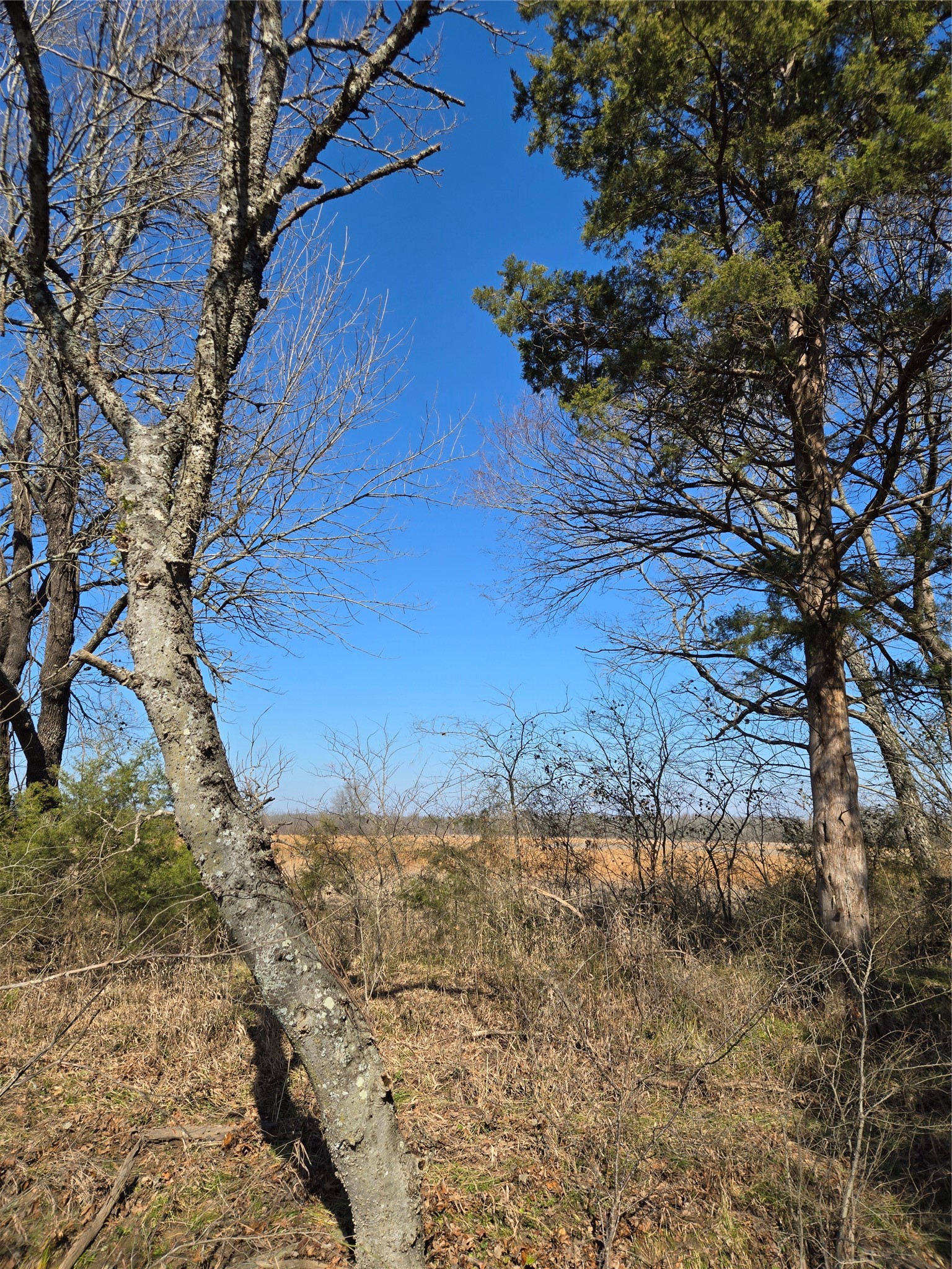 Tbd County Road 4612 Sulphur Springs TX 75482