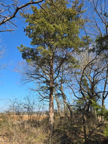 Tbd County Road 4612 Sulphur Springs TX 75482