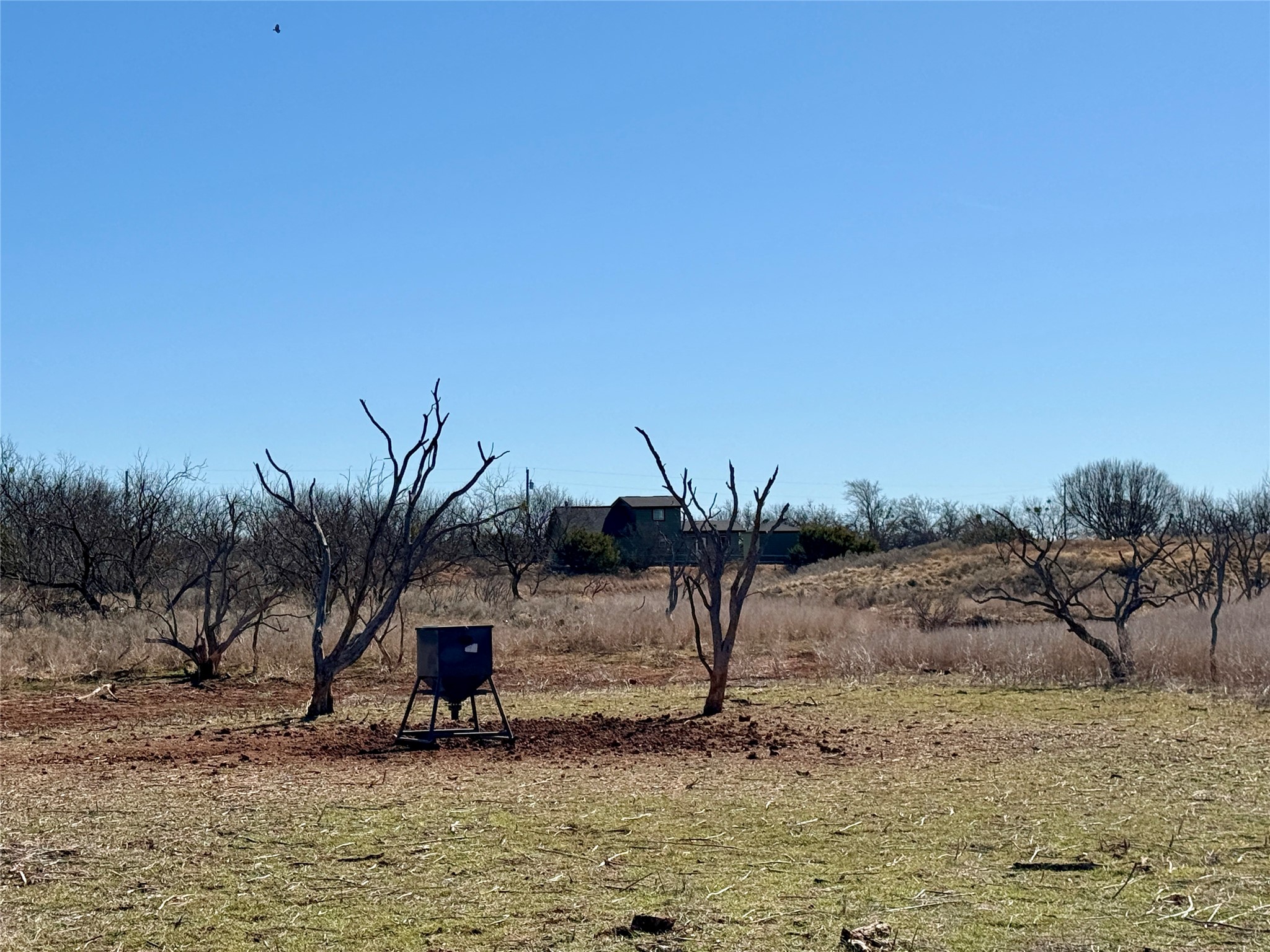 258 County Road 206 Ovalo TX 79541