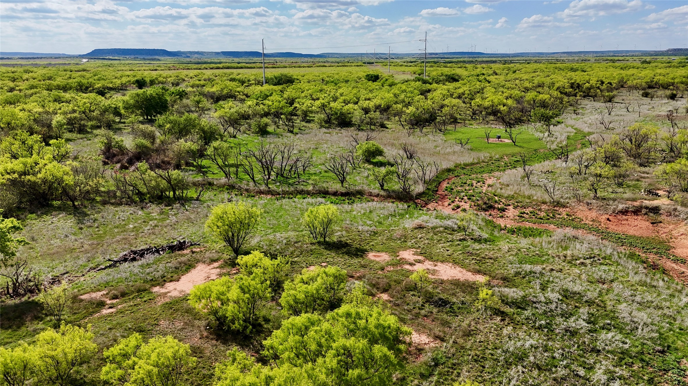 258 County Road 206 Ovalo TX 79541