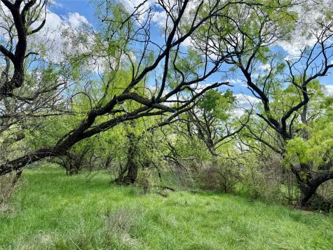 258 County Road 206 Ovalo TX 79541