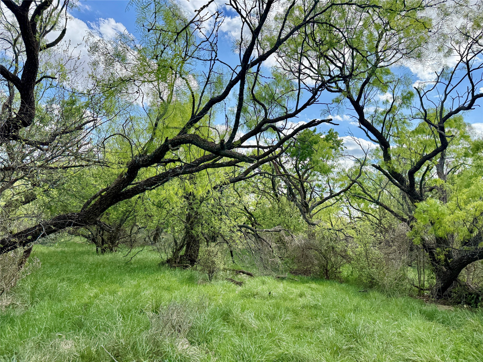 258 County Road 206 Ovalo TX 79541