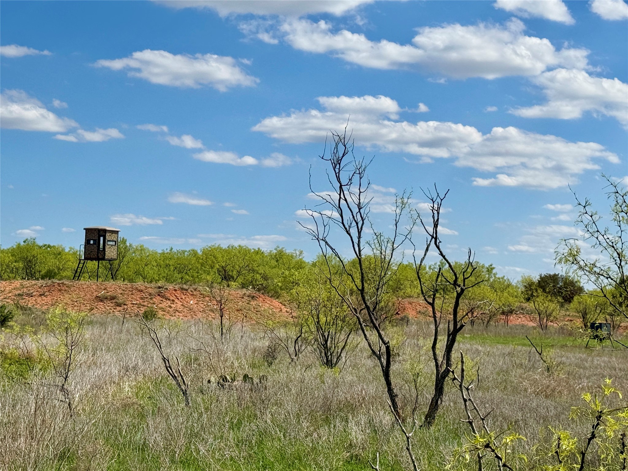 258 County Road 206 Ovalo TX 79541