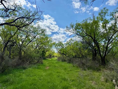 258 County Road 206 Ovalo TX 79541