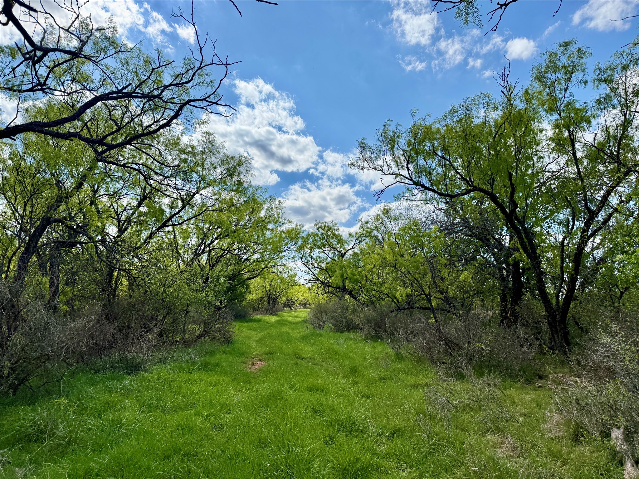 258 County Road 206 Ovalo TX 79541