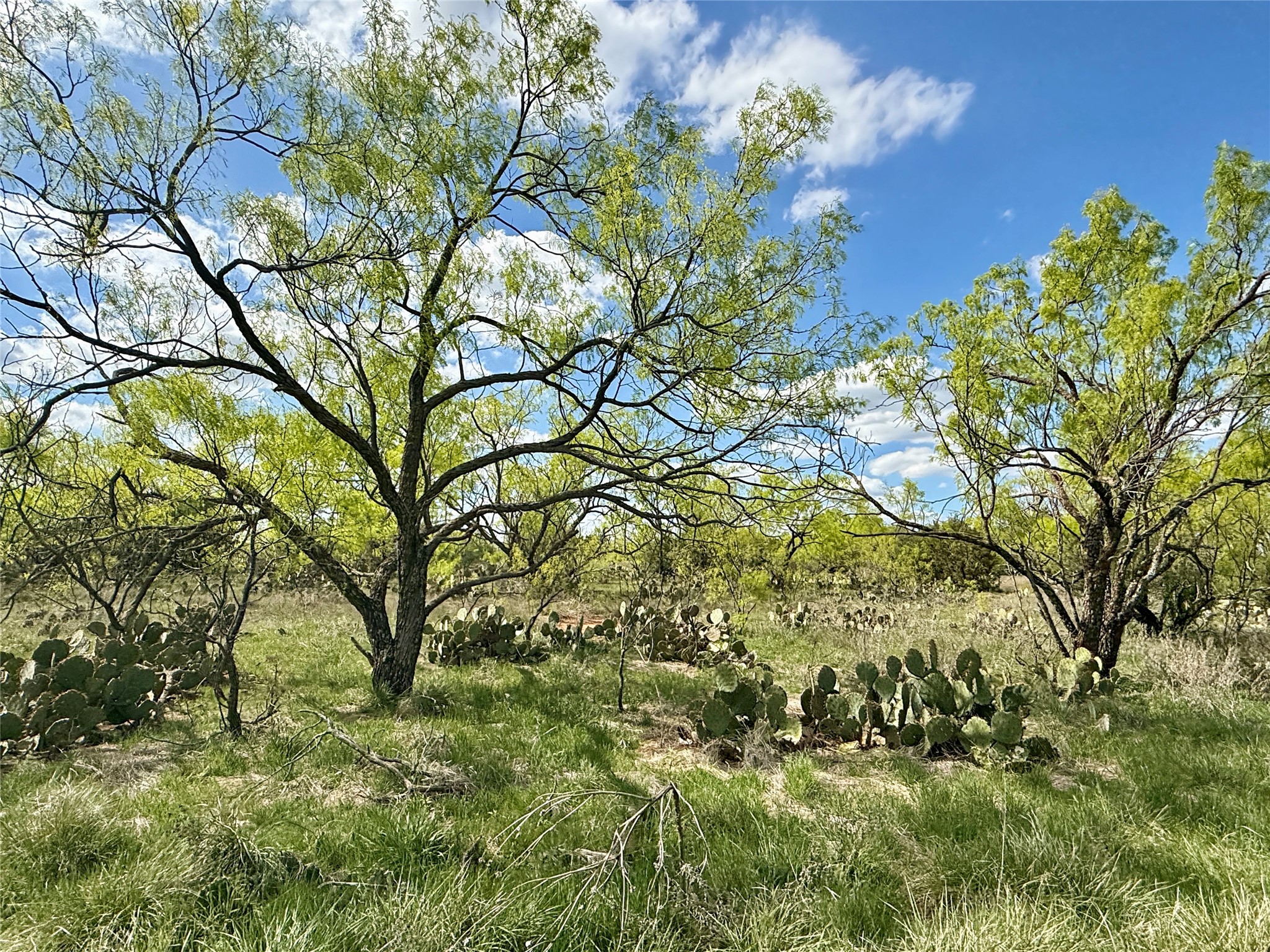 258 County Road 206 Ovalo TX 79541