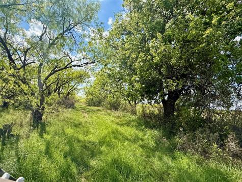 258 County Road 206 Ovalo TX 79541