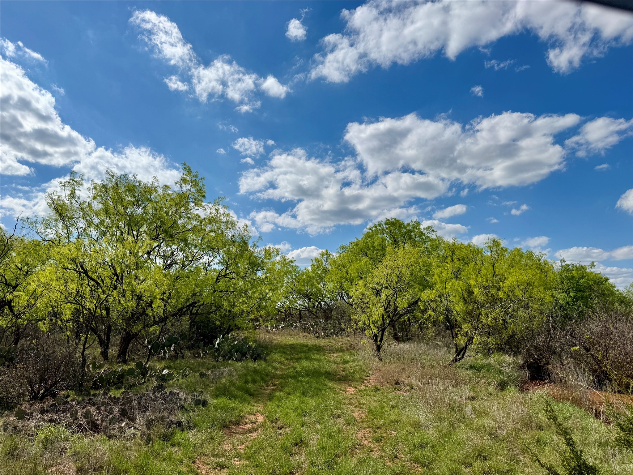 258 County Road 206 Ovalo TX 79541