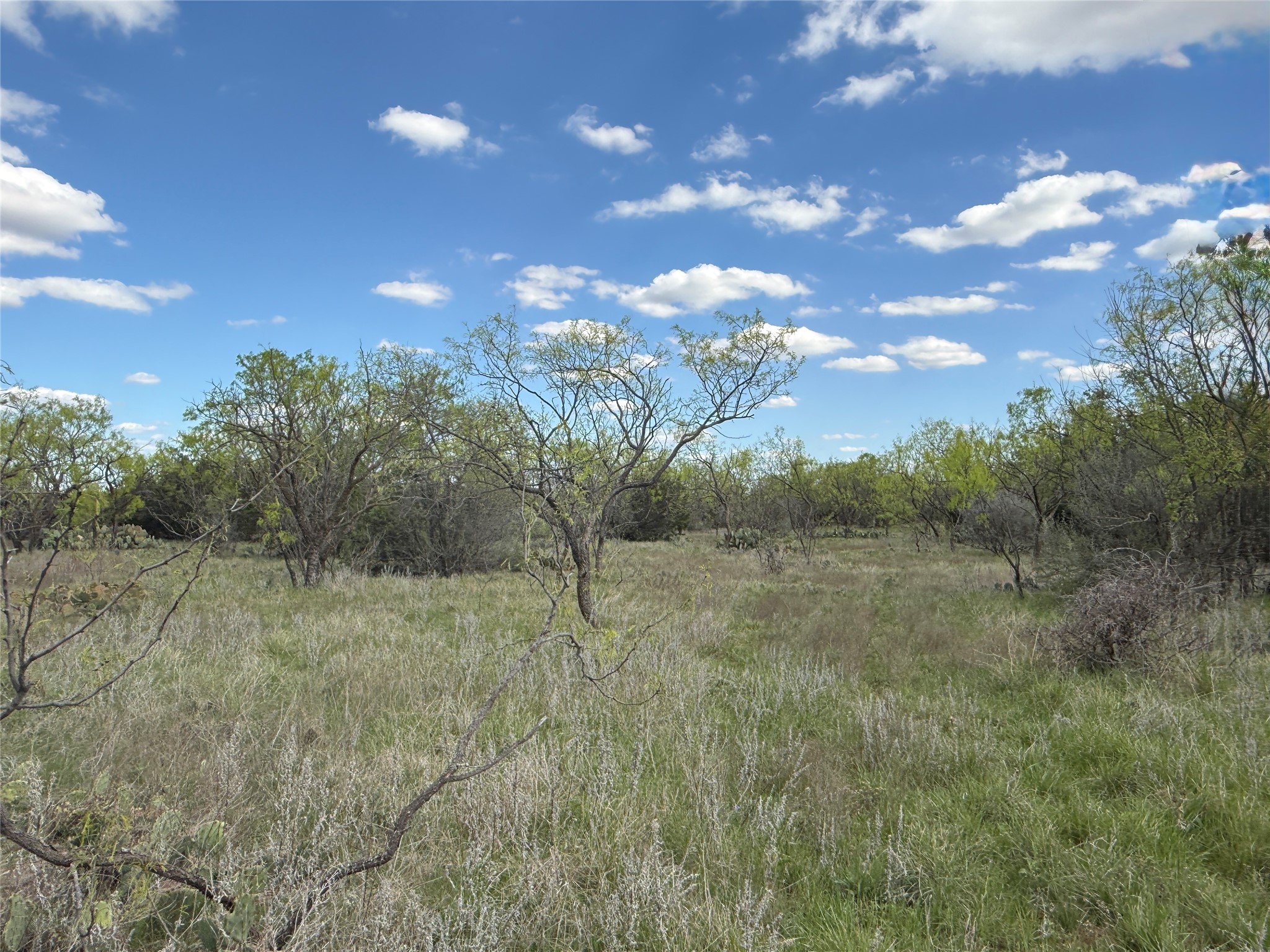 258 County Road 206 Ovalo TX 79541
