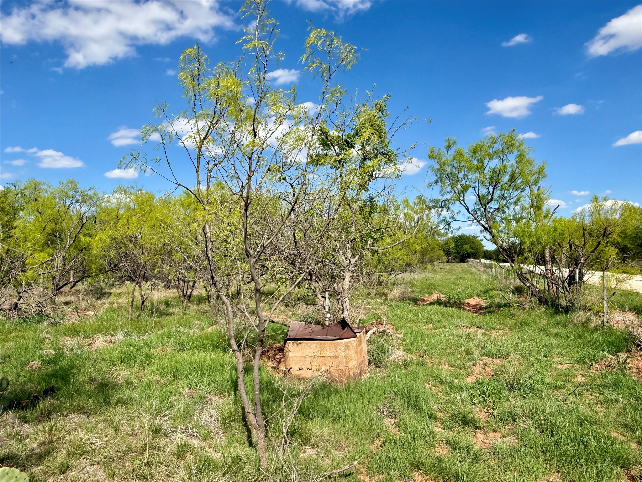 258 County Road 206 Ovalo TX 79541