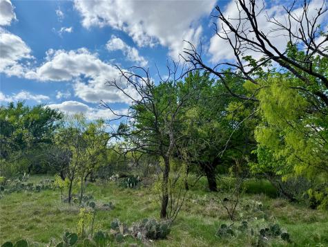 258 County Road 206 Ovalo TX 79541
