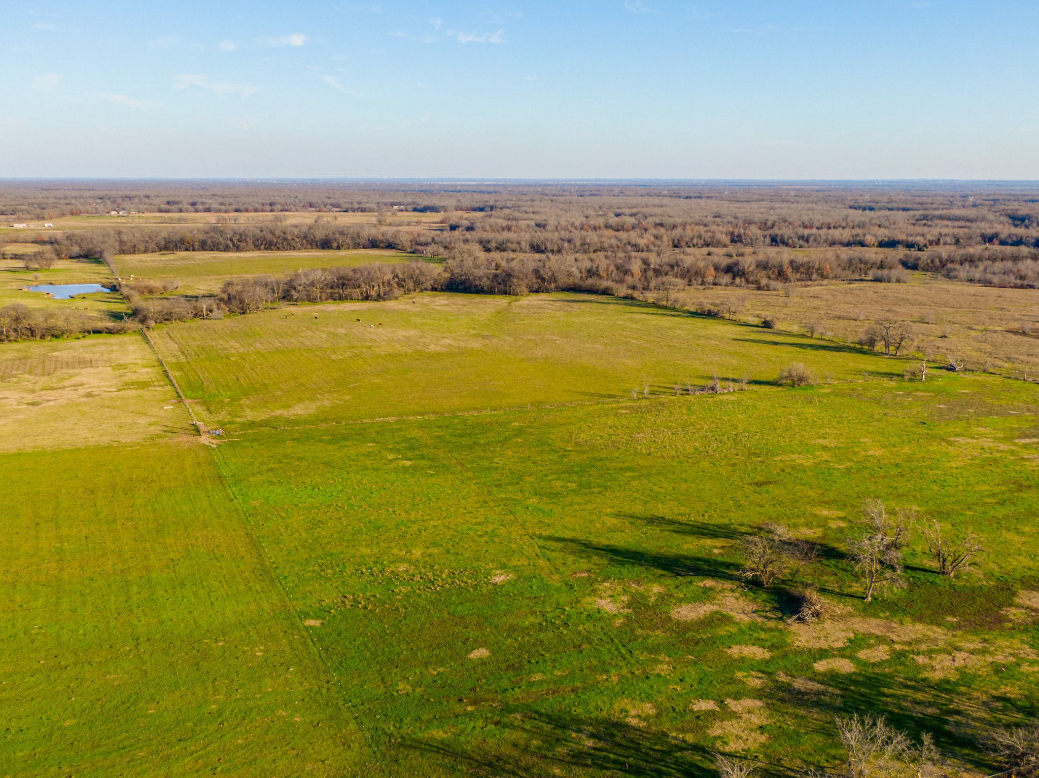Tract 1 County Road 3525 Dike TX 75437