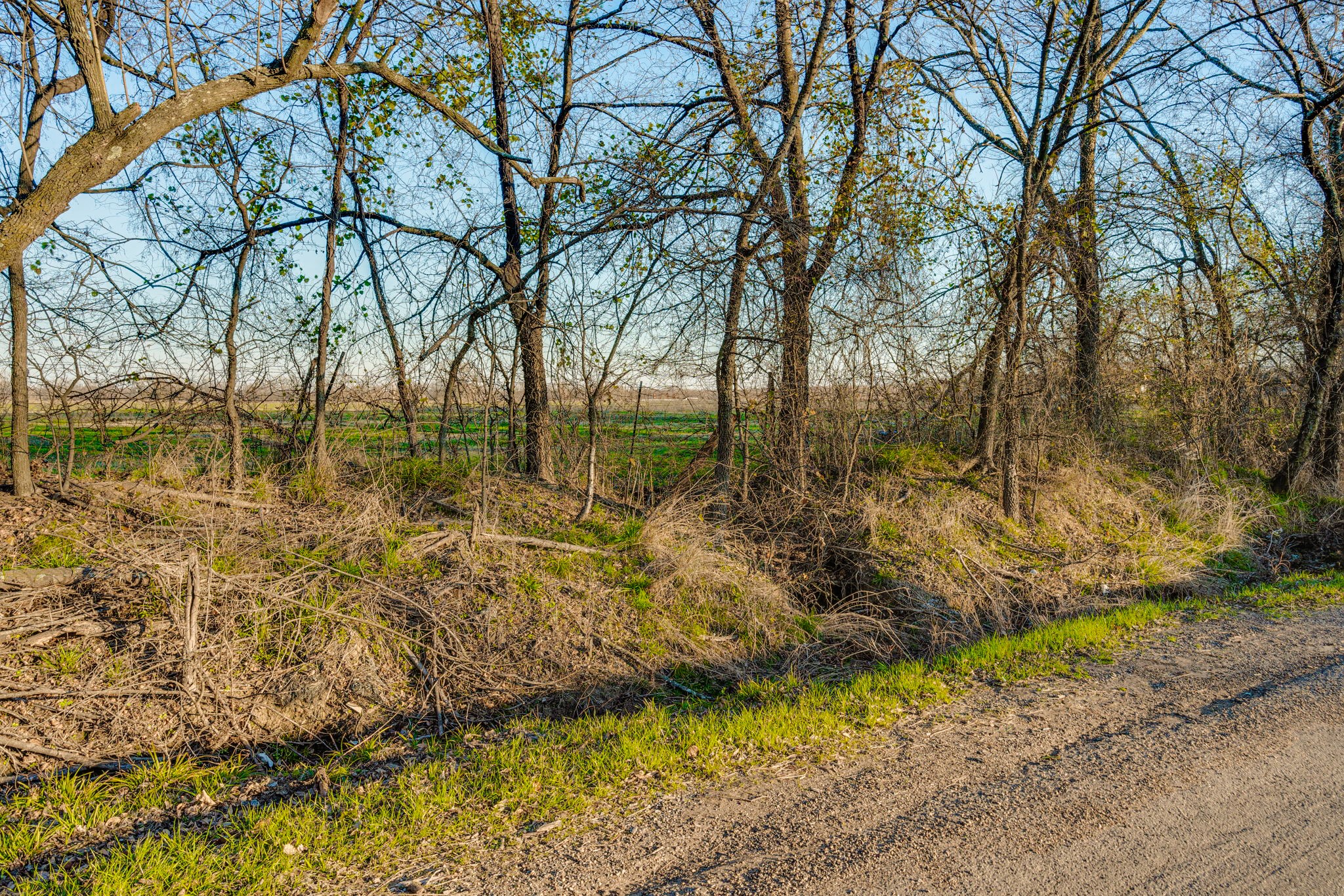 Tract 1 County Road 3525 Dike TX 75437