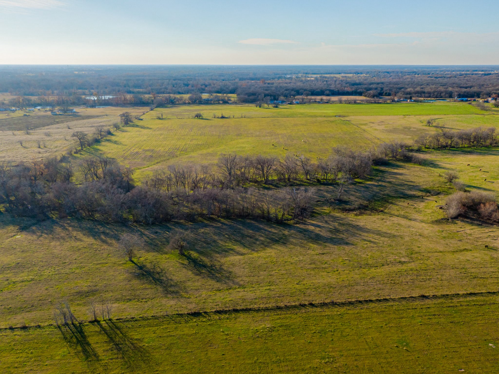 Tract 1 County Road 3525 Dike TX 75437