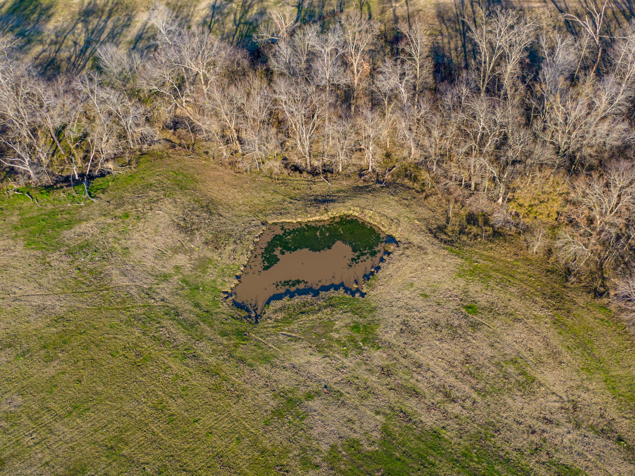Tract 1 County Road 3525 Dike TX 75437