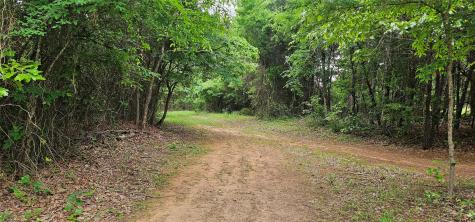 Tbd Vz County Road 4814 Ben Wheeler TX 75754
