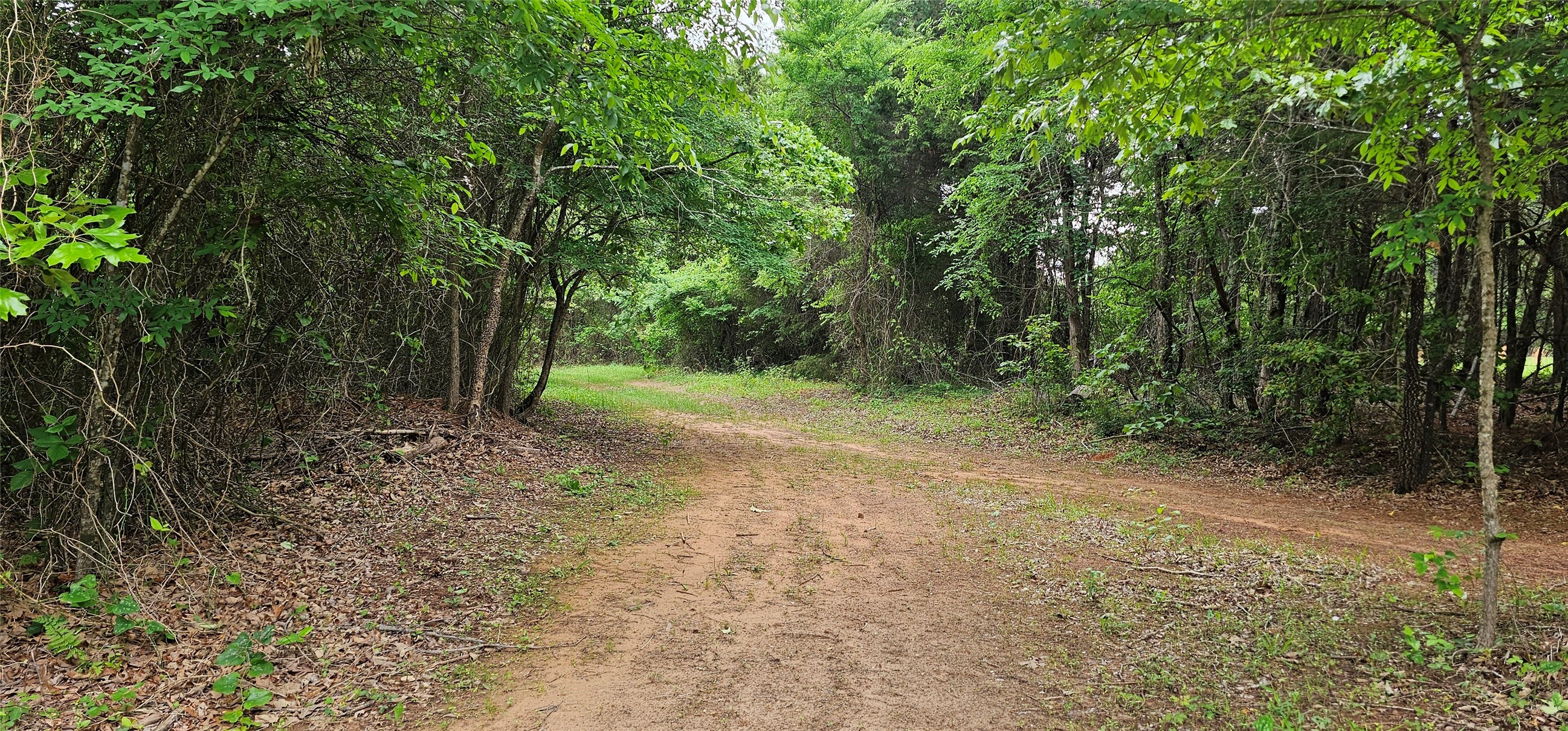 Tbd Vz County Road 4814 Ben Wheeler TX 75754