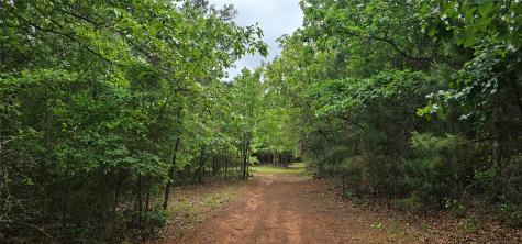 Tbd Vz County Road 4814 Ben Wheeler TX 75754