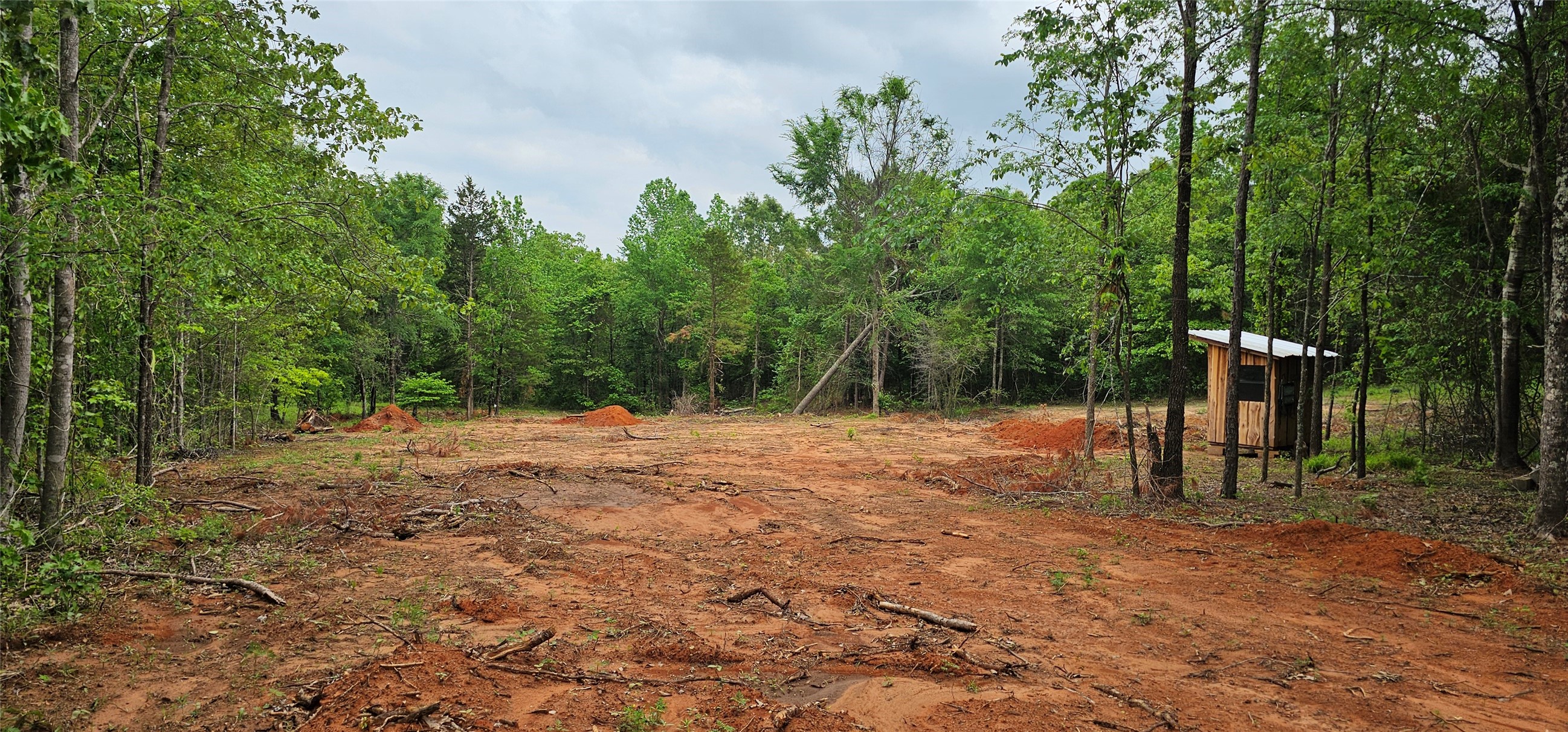 Tbd Vz County Road 4814 Ben Wheeler TX 75754