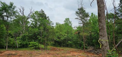 Tbd Vz County Road 4814 Ben Wheeler TX 75754