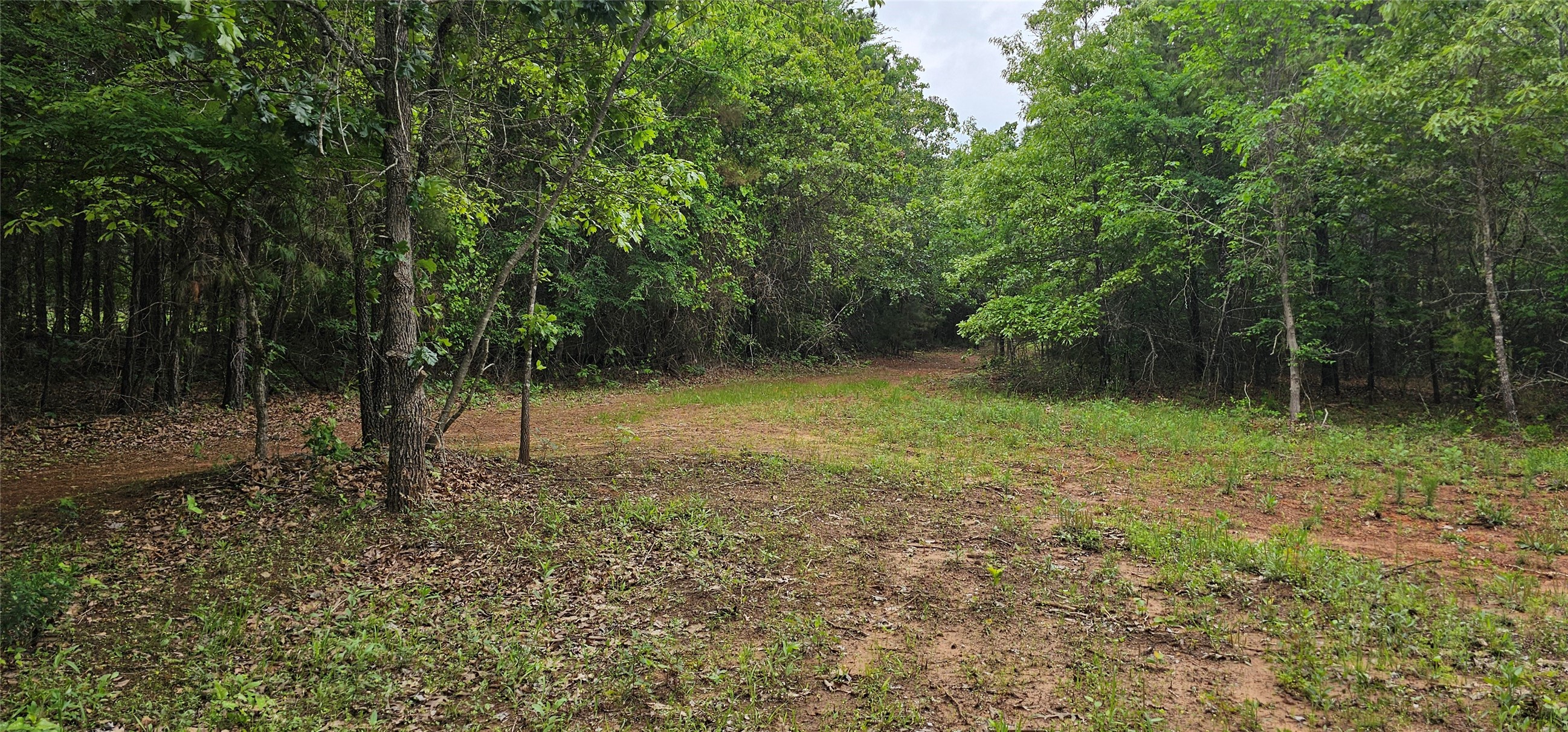 Tbd Vz County Road 4814 Ben Wheeler TX 75754