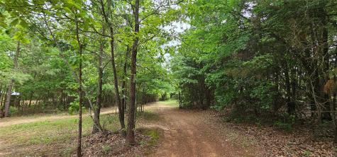 Tbd Vz County Road 4814 Ben Wheeler TX 75754