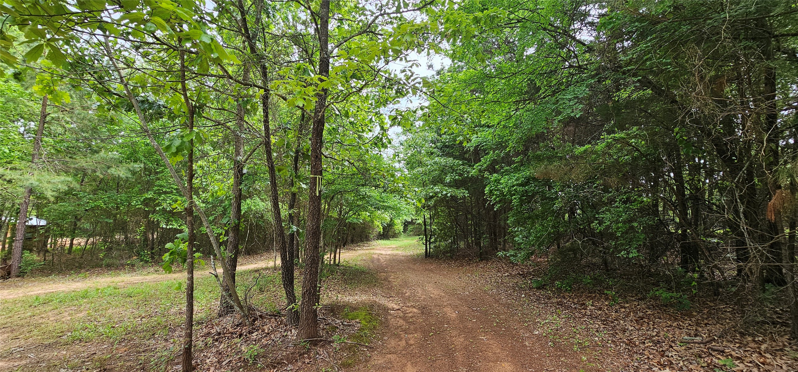 Tbd Vz County Road 4814 Ben Wheeler TX 75754