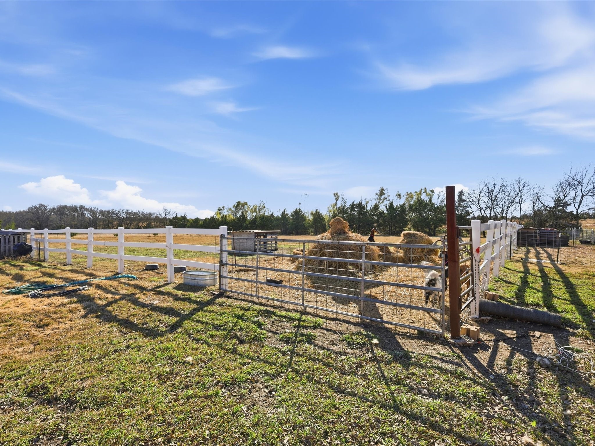 8402 County Road 501 Blue Ridge TX 75424